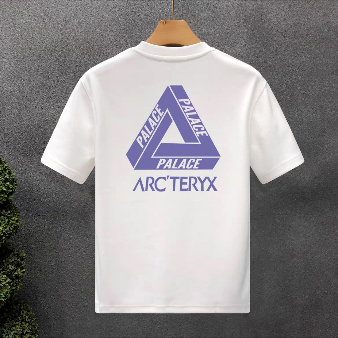 아크테릭스 남성 반팔 102996 Arc'teryx T Shirt