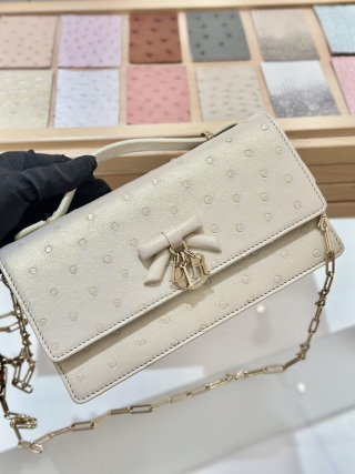 디올 가방 105875 Dior Bag