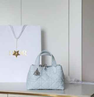 디올 가방 105926 Dior Bag