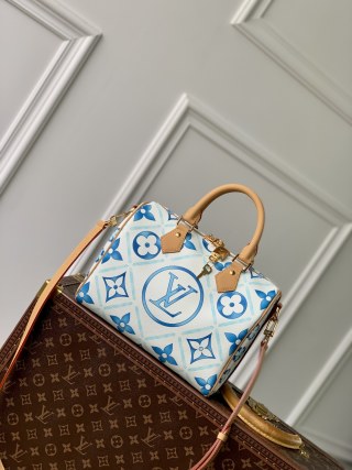 루이비통(CD) M11264 가방 Louis Vuitton Bag