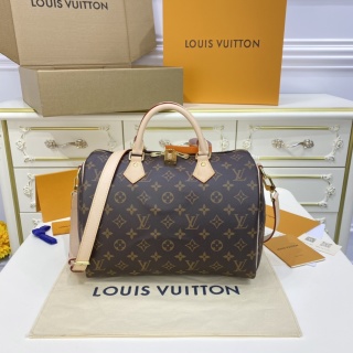 루이비통(버드케이지) M41112 가방 Louis Vuitton Bag