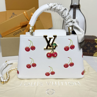 루이비통(버드케이지) M13251 가방 Louis Vuitton Bag