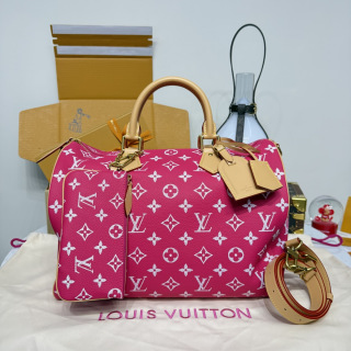 루이비통(버드케이지) M24419 가방 Louis Vuitton Bag