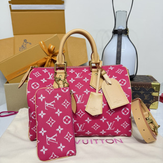 루이비통(버드케이지) M13914 가방 Louis Vuitton Bag