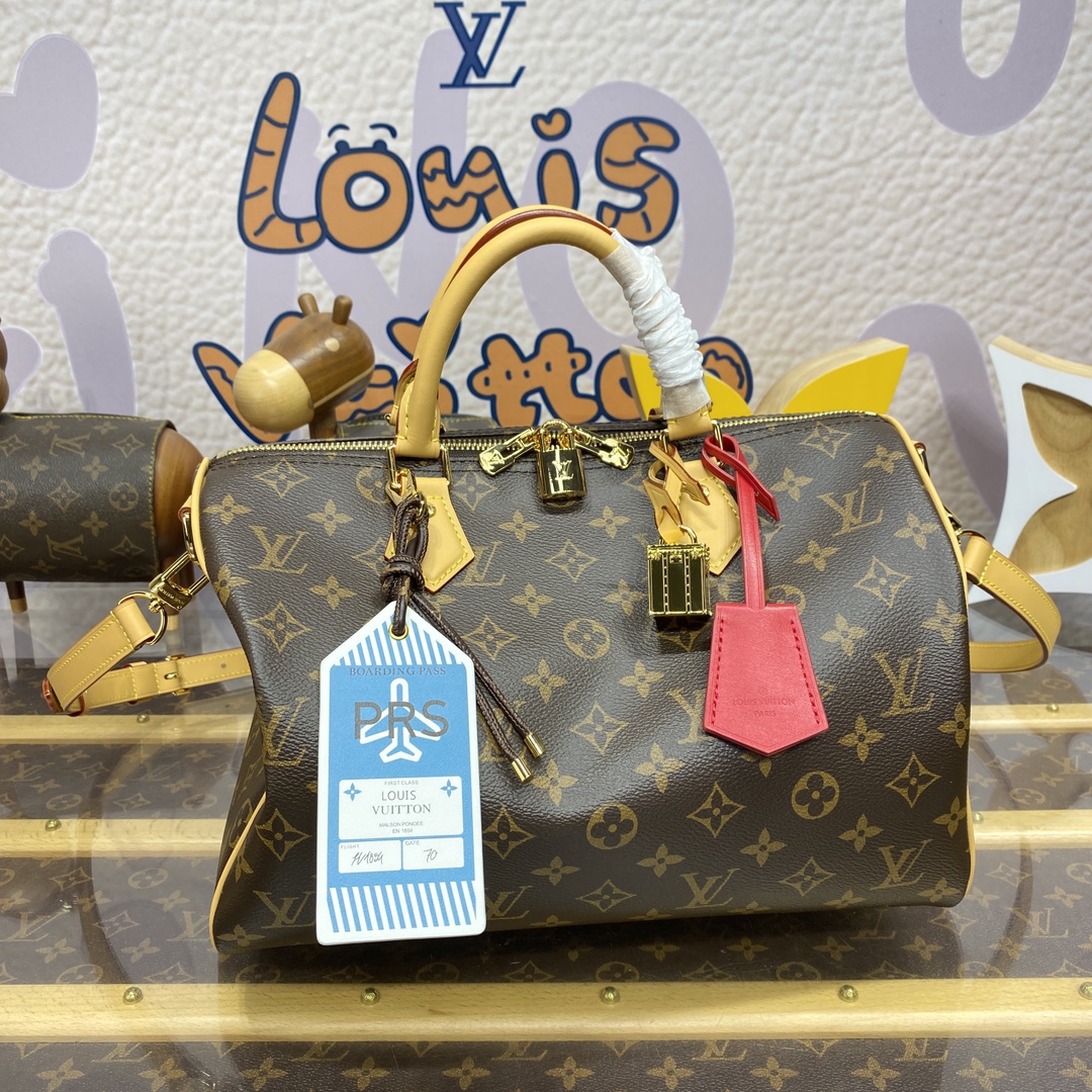 루이비통(버드케이지) 모노그램 M11945 가방 Louis Vuitton Bag