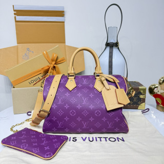 루이비통(버드케이지) M13914 가방 Louis Vuitton Bag