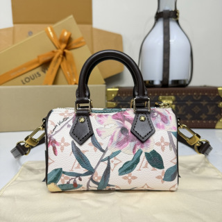 루이비통(버드케이지) M29149 가방 Louis Vuitton Bag