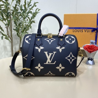 루이비통(버드케이지) M58951 가방 Louis Vuitton Bag