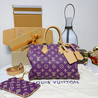 루이비통(버드케이지) M13914 가방 Louis Vuitton Bag