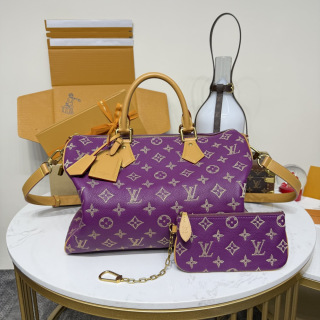 루이비통(버드케이지) M24419 가방 Louis Vuitton Bag