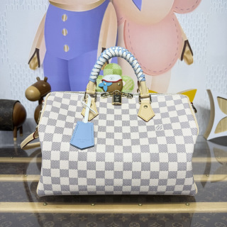 루이비통(버드케이지) N40908 가방 Louis Vuitton Bag
