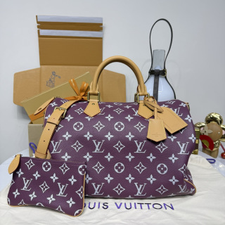 루이비통(버드케이지) M24419 가방 Louis Vuitton Bag