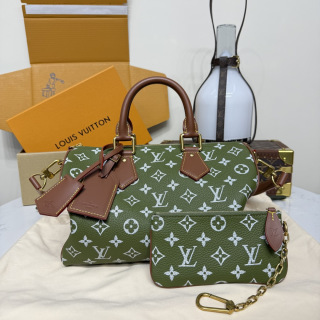 루이비통(버드케이지) M13914 가방 Louis Vuitton Bag