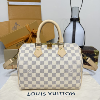 루이비통(버드케이지) M41113 가방 Louis Vuitton Bag