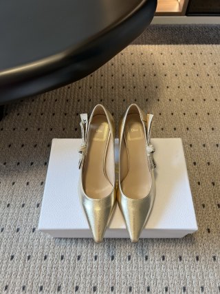 디올 신발 132635 Dior Shoes