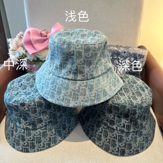 디올 모자 133675 Dior Cap