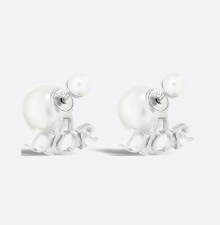 디올 귀걸이 133750 Dior Earrings