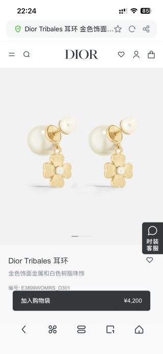 디올 귀걸이 133751 Dior Earrings