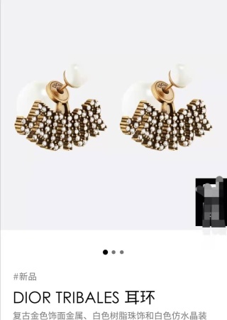 디올 귀걸이 133784 Dior Earrings