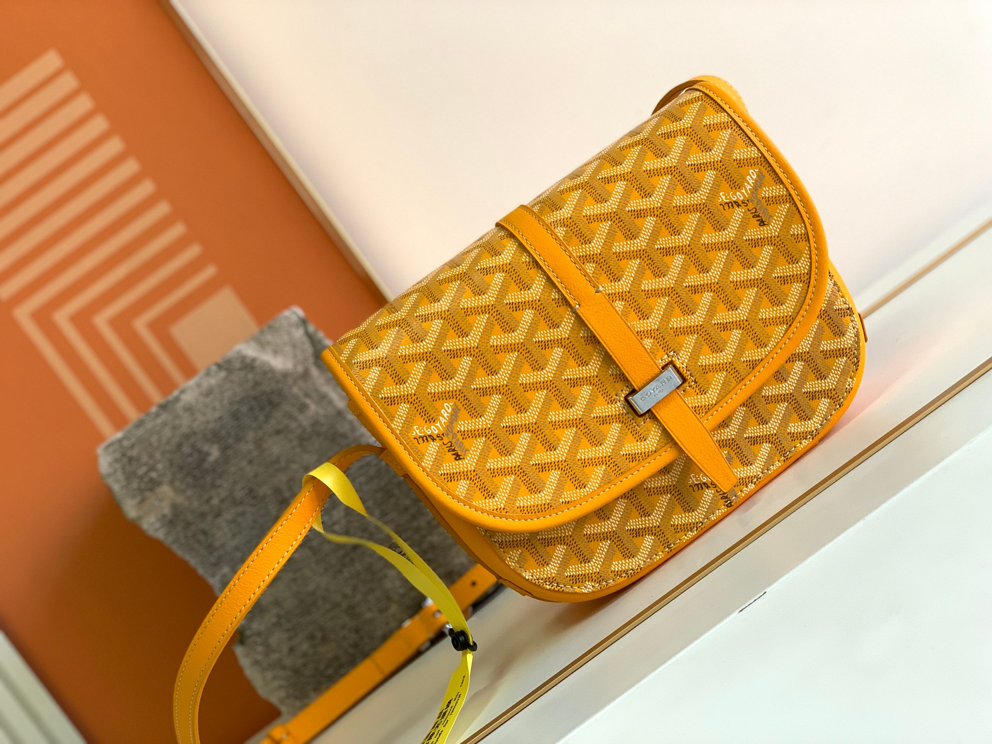 고야드 134273 가방 Goyard Bag