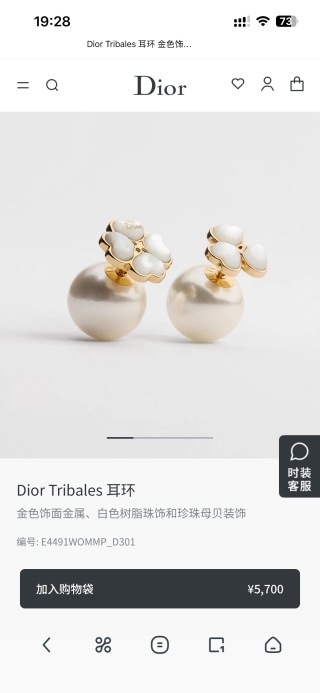 디올 귀걸이 134539 Dior Earrings