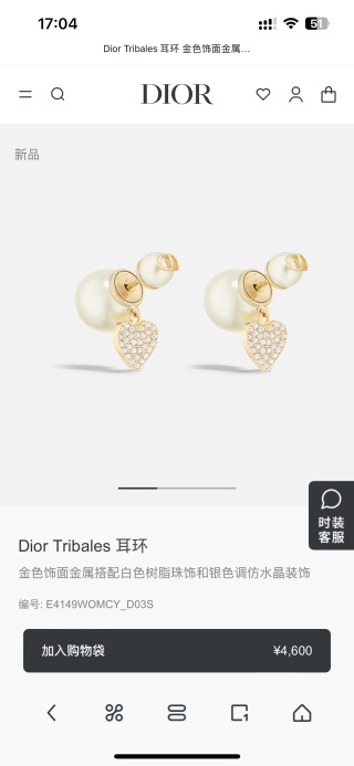 디올 귀걸이 134541 Dior Earrings