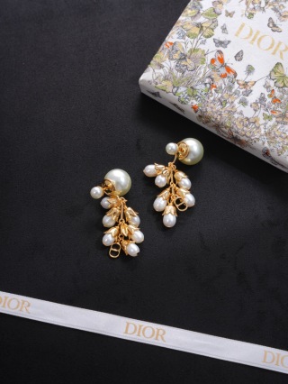 디올 귀걸이 134583 Dior Earrings