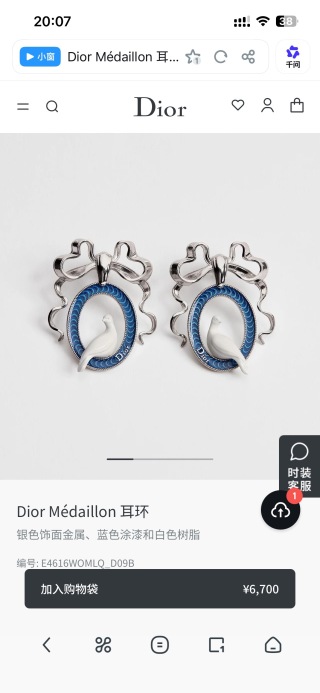 디올 귀걸이 134708 Dior Earrings