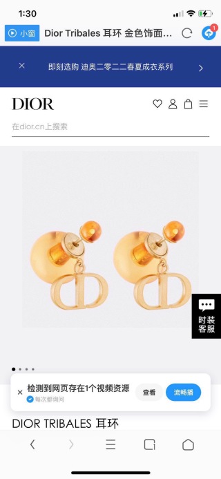 디올 귀걸이 134718 Dior Earrings