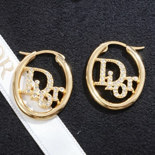 디올 귀걸이 134770 Dior Earrings