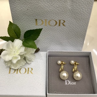 디올 귀걸이 134804 Dior Earrings