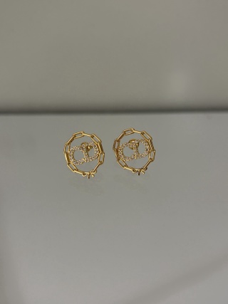 디올 귀걸이 134854 Dior Earrings