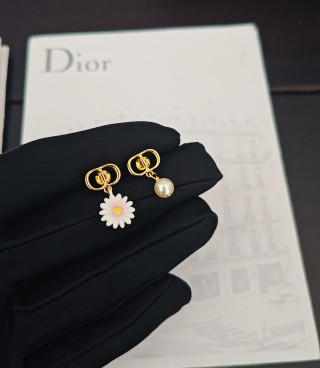 디올 귀걸이 134958 Dior Earrings