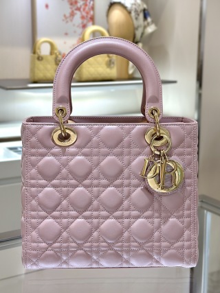 디올 가방 16060 Dior Bag