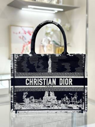 디올 가방 16100 Dior Bag