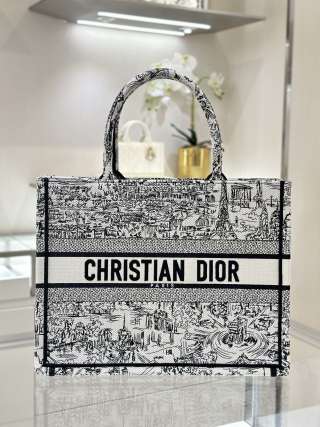 디올 가방 16101 Dior Bag
