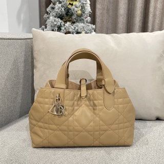 디올 가방 16660 Dior Bag