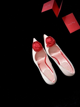 로저비비에 신발 17177 Roger Vivier Shoes