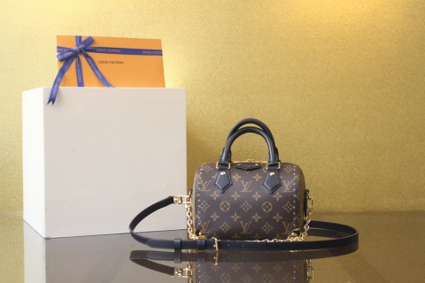 루이비통 스피디 트렁크 모노그램 리버스 M13146 가방 Louis Vuitton Bag