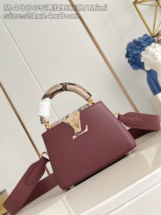 루이비통 M48865 카푸신 핸드백 숄더백 미니 Louis Vuitton Bag