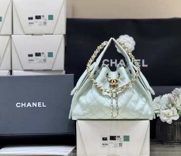 샤넬 가방 AS5293 Chanel Bag