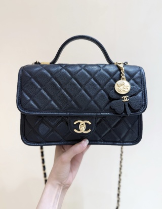 샤넬 가방 AS3653 Chanel Bag