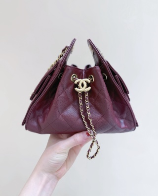 샤넬 가방 AS5631 Chanel Bag