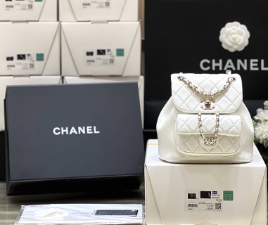 샤넬 가방 AS2908 Chanel Bag