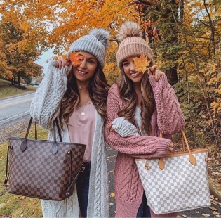 루이비통 N41358 가방 Louis Vuitton Bag