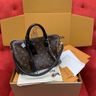 루이비통 가방 38388 Louis Vuitton Bag