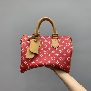 루이비통 M14067 가방 Louis Vuitton Bag