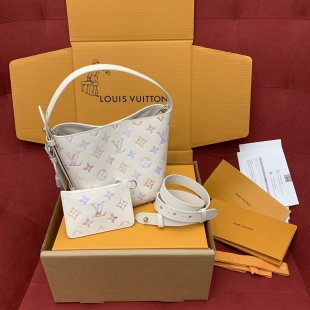 루이비통 M25673 가방 Louis Vuitton Bag