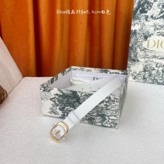디올 벨트 59745 Dior Belt