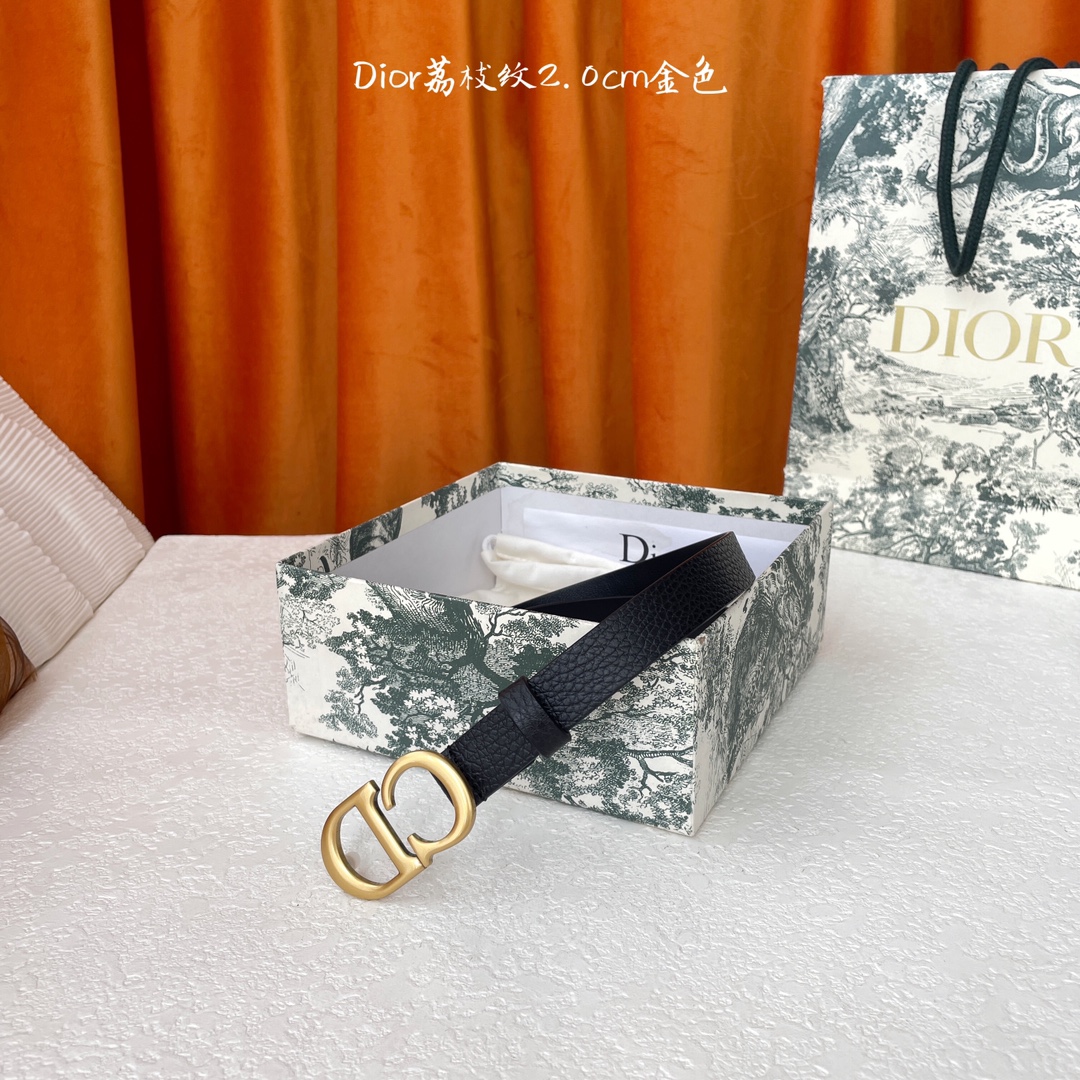 디올 벨트 59764 Dior Belt
